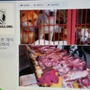 공금농장 이미지