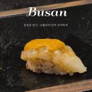 부산 서면 가성비 스시오마카세 추천 [송정호 일식] 런치타임 후기, 생일 기념일 맛집