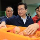 보은군 과수거점산지유통센터 이미지