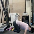 ZOAFIT(조아핏) 이미지