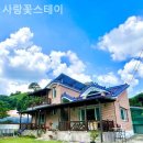 사랑꽃 스테이 이미지