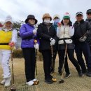 라온트레이딩 이미지