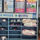 선사크리닝 이미지
