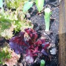 일명농장 이미지