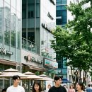러셀골드디자인 | 버뮤다 팬츠 완벽 코디 가이드 2026 | 레트로 스포티 남녀공용 스타일링