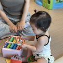 자연아 놀자 | 책육아 ｜ 베이비올 아기, 베이비올 명화음악, 베이비올 영어, 자연아 놀자 전집 내돈내산 솔직 후기