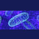 복희점핑다이어트 | 복희점핑다이어트 15kg감량 "찐리얼후기" 클릭 안하면 후회! [월평동운동/월평동 다이어트]