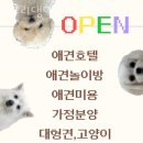 숭구리댕댕
