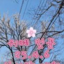 용암3길 이미지