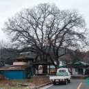 부림면사무소 이미지