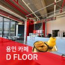 디플로어 티스토리