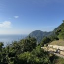 울릉향민박 네이버블로그