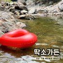 선창길민박 | 전남 구례 계곡 딱소가든ㅣ애견동반, 취사, 예약방법