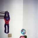 다Dog다Dog 이미지