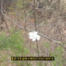 계남 유아숲체험원 이미지