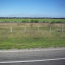 대평원목장 이미지