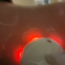 (주)쉬즈케어 | 산전산후전문업체 쉬즈맘케어홈 방문 후기