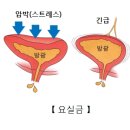 샘