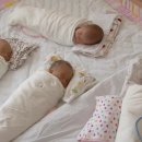 쌍둥이 이미지