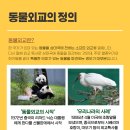 냥냥이세상 네이버블로그