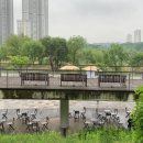 광교호수공원로 이미지