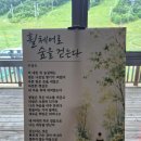 (주)누리고나누고 | 이끌림(밀알캠프 후기)