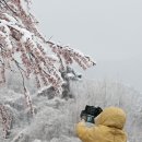 부산경찰청직장어린이집 이미지