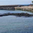 태흥2리 이미지