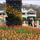 백야가든 이미지