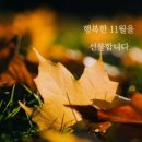 11월의 시 / 이해인, 서정주, 나태주, 윤보영, 오세영, 김태인, 나희덕, 류시화 이미지