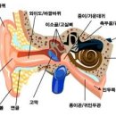 열린문가정의원 이미지