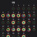 엘더스 | 운동기록 : THE엘더스필라테스 1:1 필라테스 두달 후기