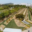 평화숲 Daum카페