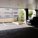 효소를담다, 효담 이미지