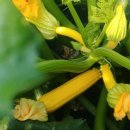 왜관농협 하나로마트 남부점 이미지