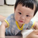 동대문 도매만 다니던 사람이 처음 가본 남대문 아동복시장 후기!