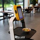 해강장어 이미지