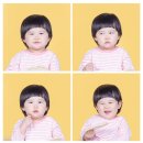 사파리사진관청주점 이미지