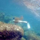 독도환경 | 국내여행가볼만한곳 울릉도독도해양연구기지 스노쿨링 섬여행 추천