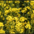 정호농장 이미지