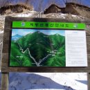 칠백민박 이미지