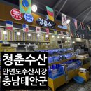 안면도수산시장 청춘수산 꽃게찜 후기 (해산물 퀄리티 최고, 세종시에서 한시간반거리!)