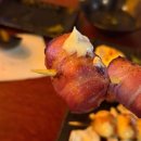 수제꼬치오뎅포차 | [로지오뎅] 수제 꼬치, 야키토리 맛집 방문 솔직 후기 🍖 _ 충남대, 카이스트 맛집