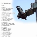 새갈천 이미지