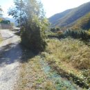 선리농장 이미지