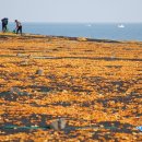 동암목장 이미지