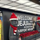 신산환승정류장 | 성산일출봉 근처 성산 게하 추천 ! 제주 혼여 파티 없는 게하 조용한 ‘ 한낮의꿈 ’ 내돈내산 방문후기 🗯️