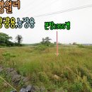 광용농장 네이버블로그