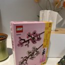 플라틸로