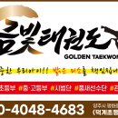 금빛스타태권도 이미지